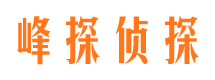 林西小三调查